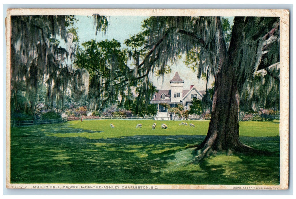 1924 Ashley Hall Magnolia On The Ashley Charleston South Carolina SC Postcard