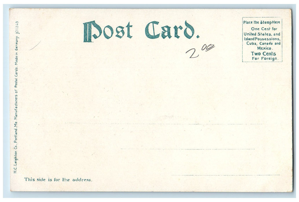 c1905 Alton Bay Aerial View Boats Docking Buildings New Hampshire NH Postcard