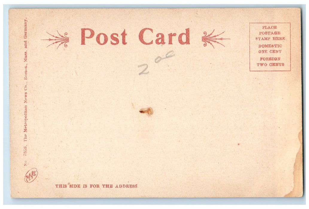 c1905 Soldier Monument Square Flag Canyons Leominster Massachusetts MA Postcard