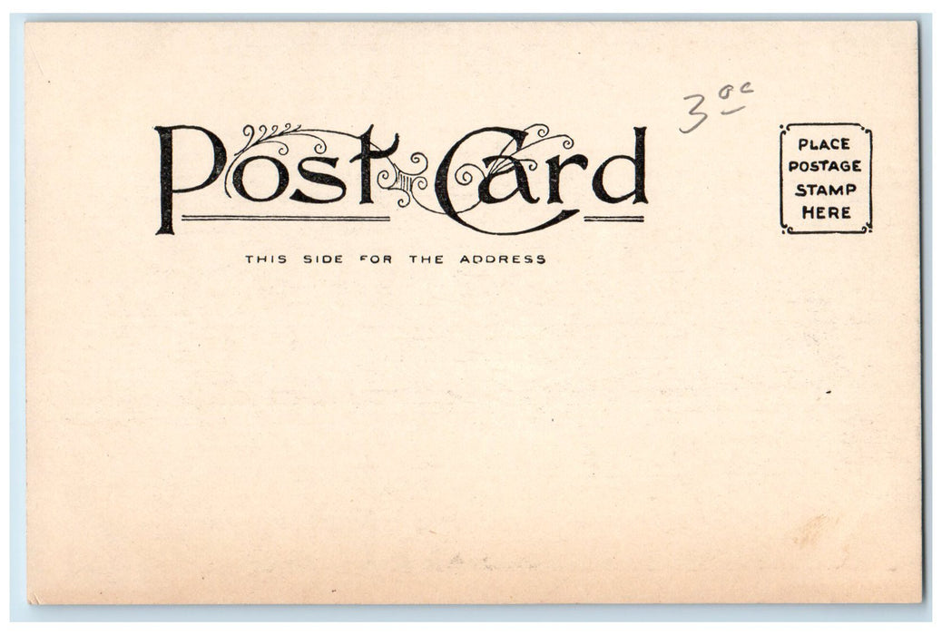 c1905 YMCA Training School Campus Building Springfield Massachusetts MA Postcard
