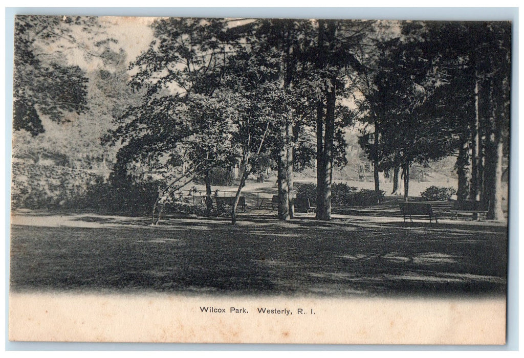 c1905 Wilcox Park View Benches Grounds Trees Westerly Rhode Island RI Postcard