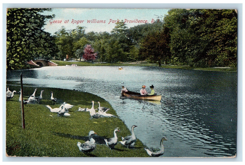1908 Geese Roger Williams Park Lake Pond Boating Trees Providence RI Postcard