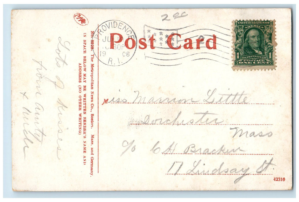 1908 Geese Roger Williams Park Lake Pond Boating Trees Providence RI Postcard