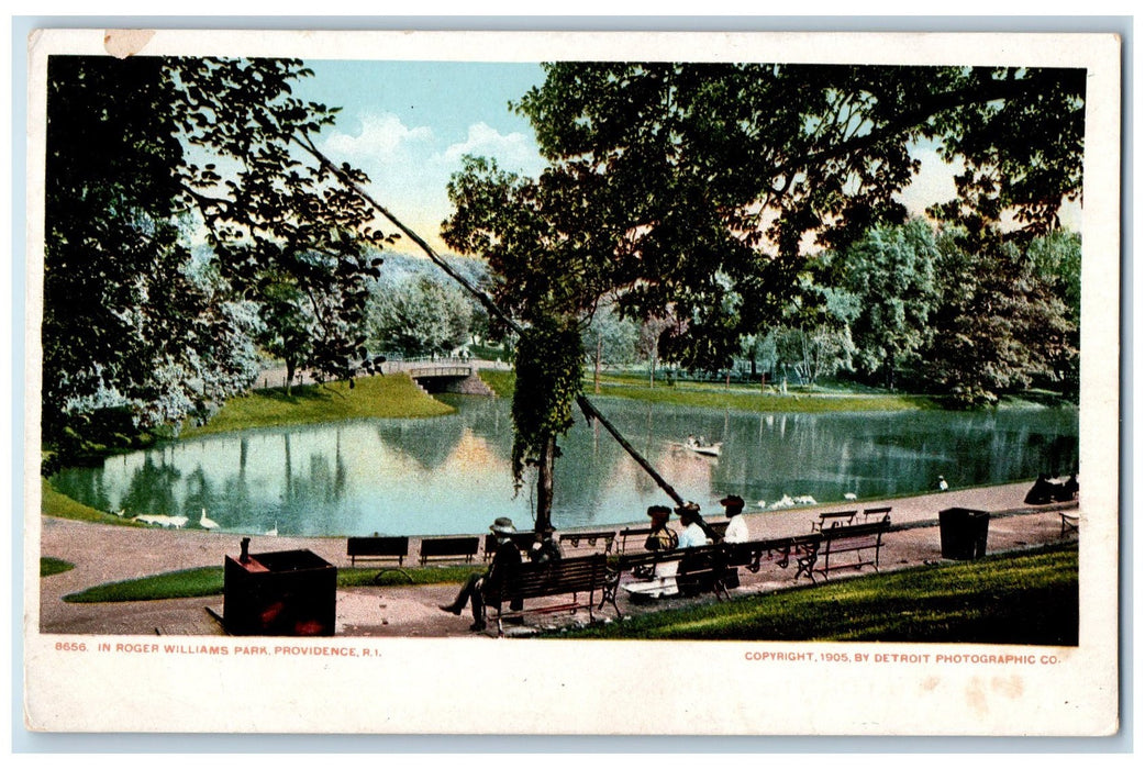 c1905 Roger Williams Park Pond Tourist Boating Geese Tree Providence RI Postcard