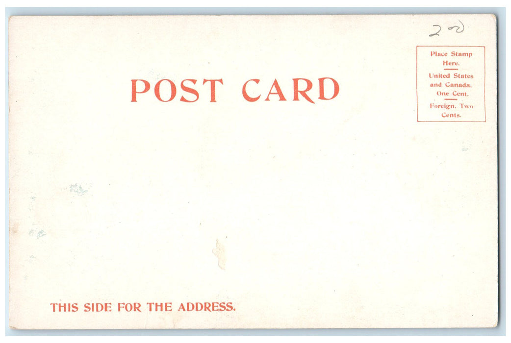 c1905 Roger Williams Park Pond Tourist Boating Geese Tree Providence RI Postcard