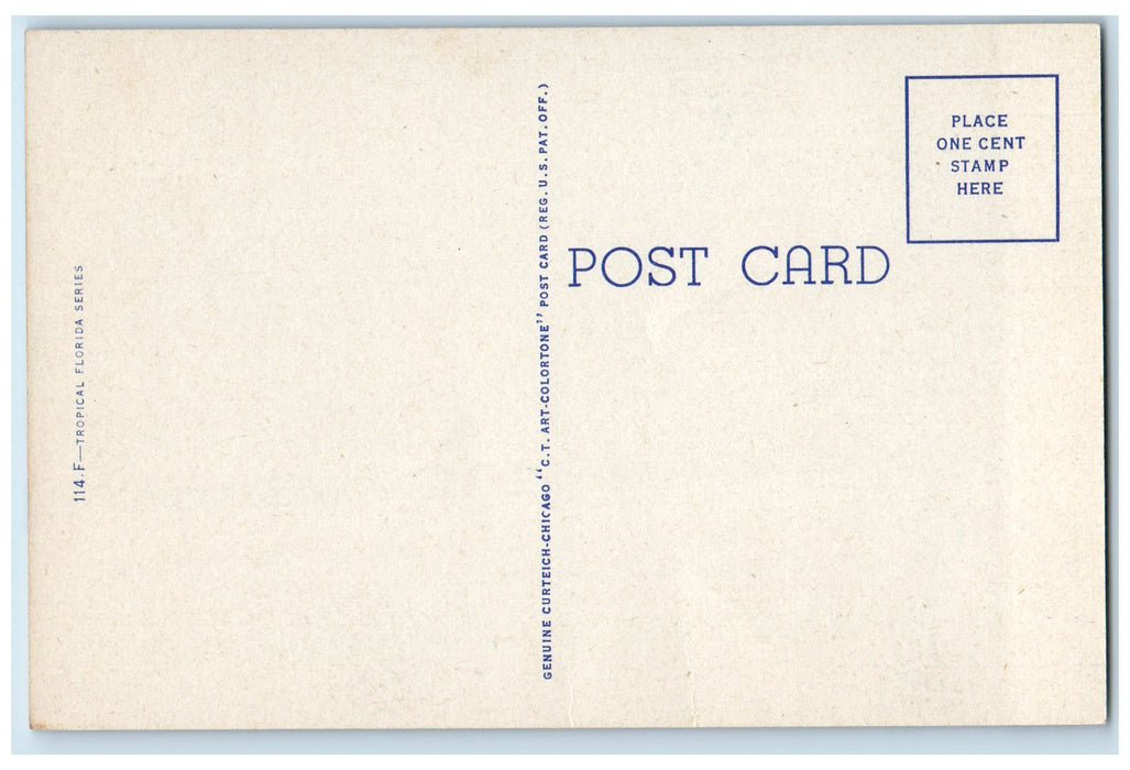 c1940's Streamlining Through Wonderful Florida Plane Passenger Train Postcard