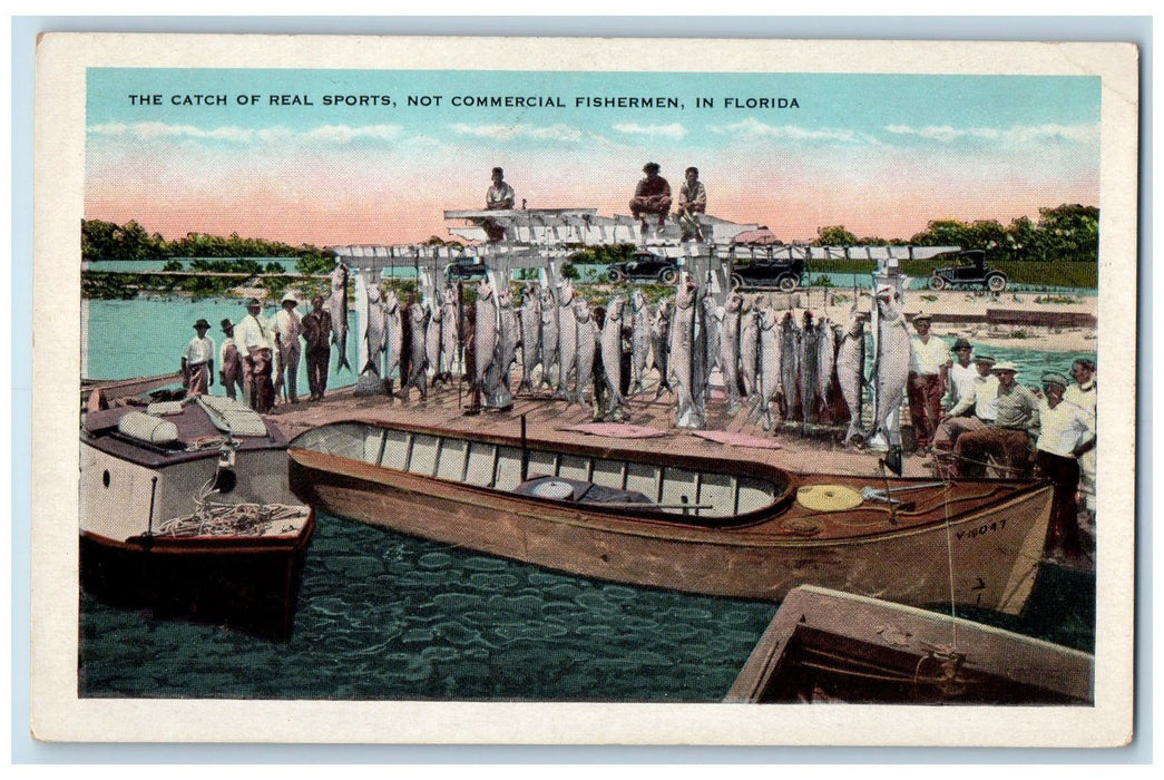 c1920's The Catch Real Sports Not Commercial Fisherman Contest Florida Postcard