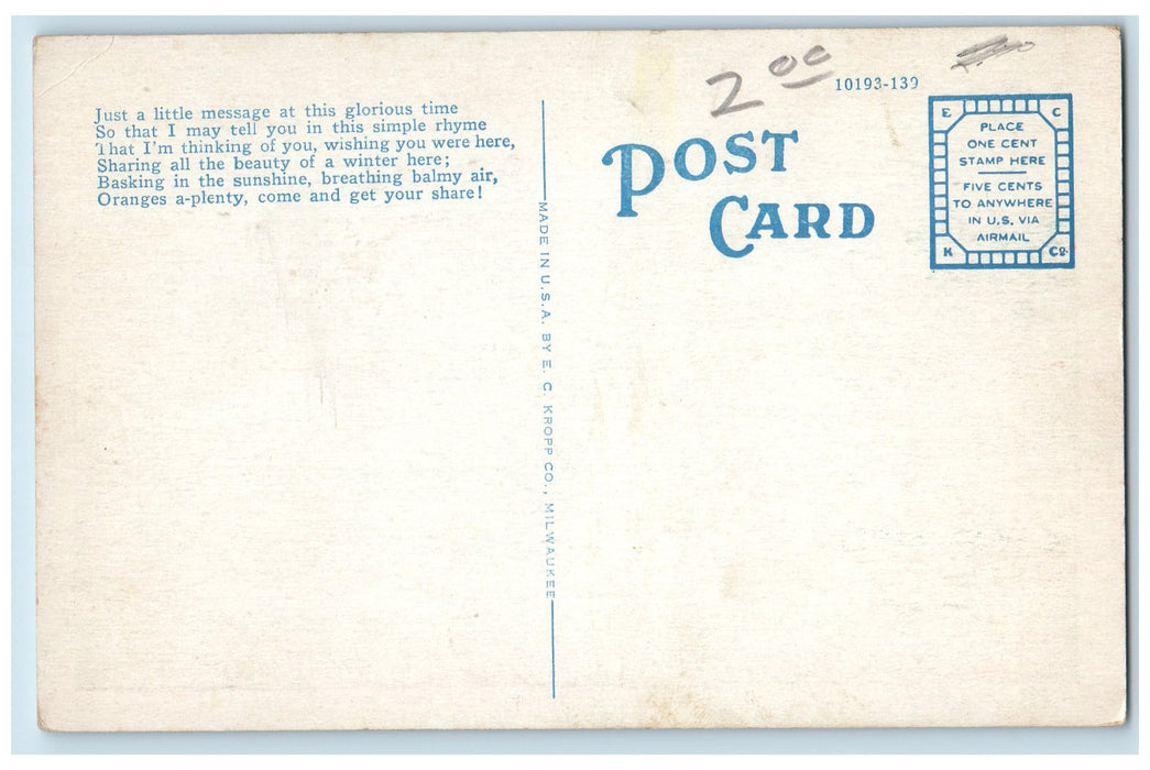 c1920's The Catch Real Sports Not Commercial Fisherman Contest Florida Postcard
