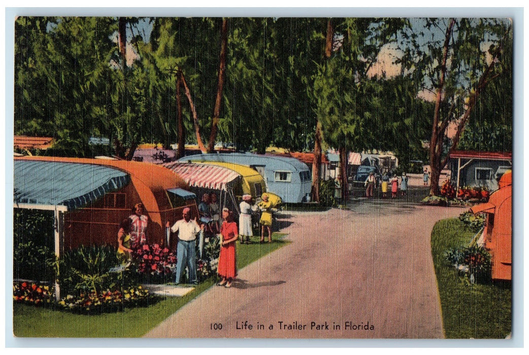 1951 Life In A Trailer Park In Florida View Dirt Road People Trees FL Postcard