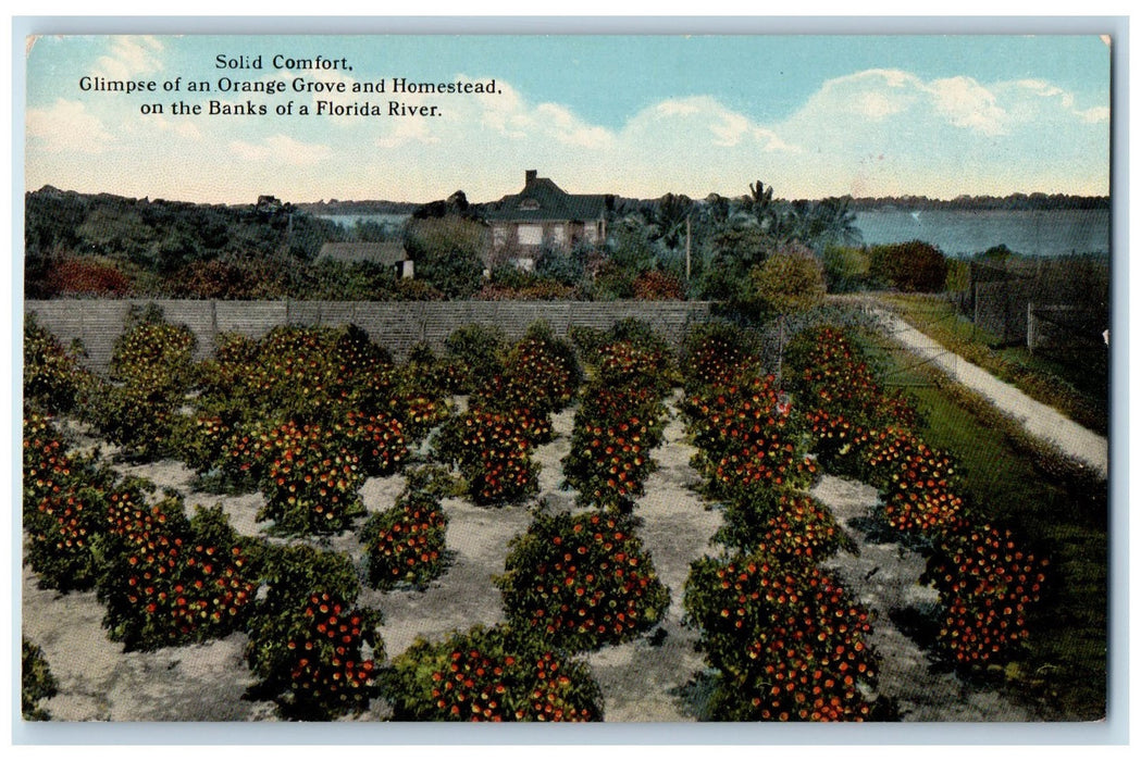c1950's Solid Comfort Orange Grove Homestead Florida River Pathway FL Postcard