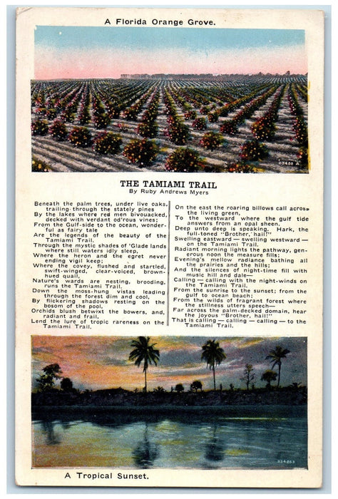 c1950's Florida Orange Grove Tamiami Trail Tropical Sunset Views FL Postcard