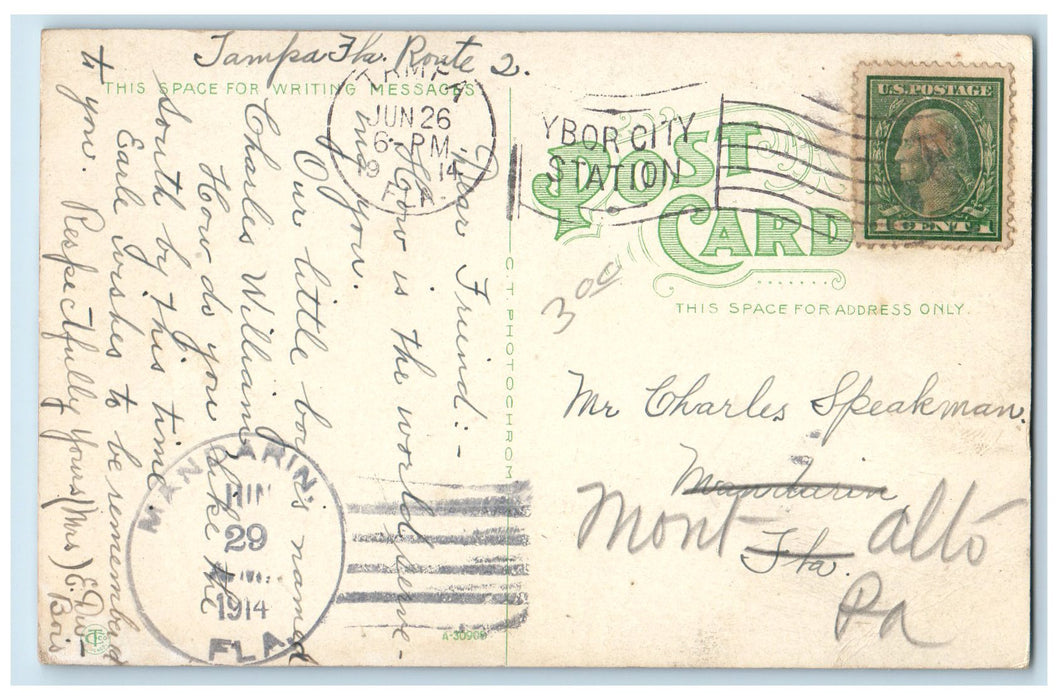 1914 Bird's Eye View Docks Passenger Ship Ferry Road Tampa Florida FL Postcard