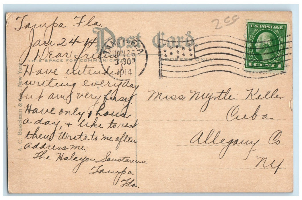 1914 YMCA Building Side View Entrance Corner Street Tampa Florida FL Postcard