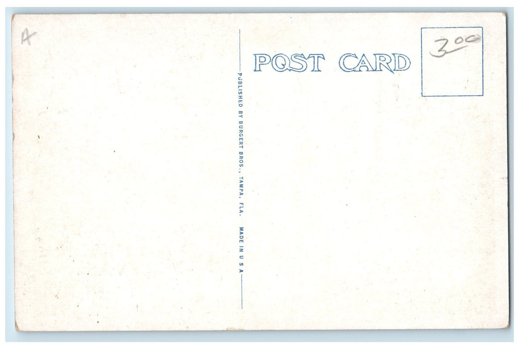 c1920's Entire Ship Load Kansas Paving Brick Classic Trucks Tampa FL Postcard