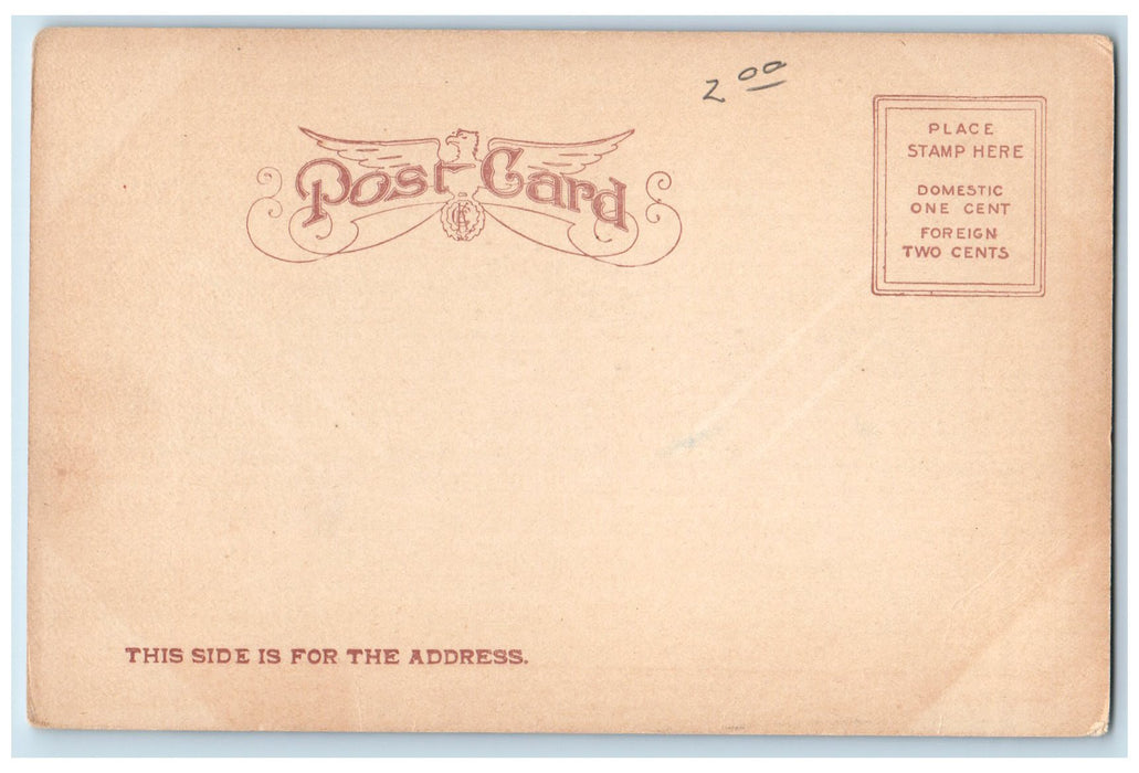 c1905's Interior Cathedral 10th And Douglas Sioux City Iowa IA Unposted Postcard