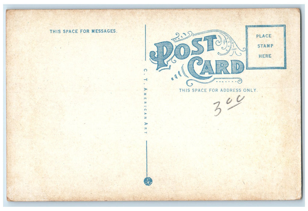 c1950 Inner Harbor Passenger Boats Ferry Docking Houses Camden Maine ME Postcard