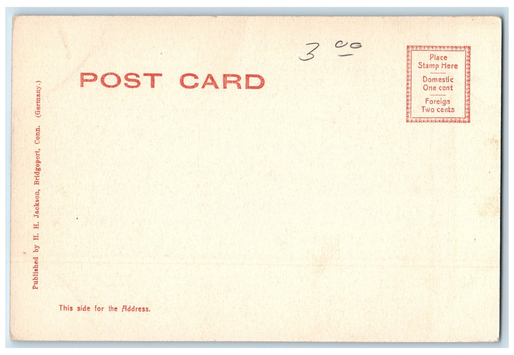 c1905 Bird's Eye View Harbor Passenger Ferry Sailboats Bridgeport CT Postcard