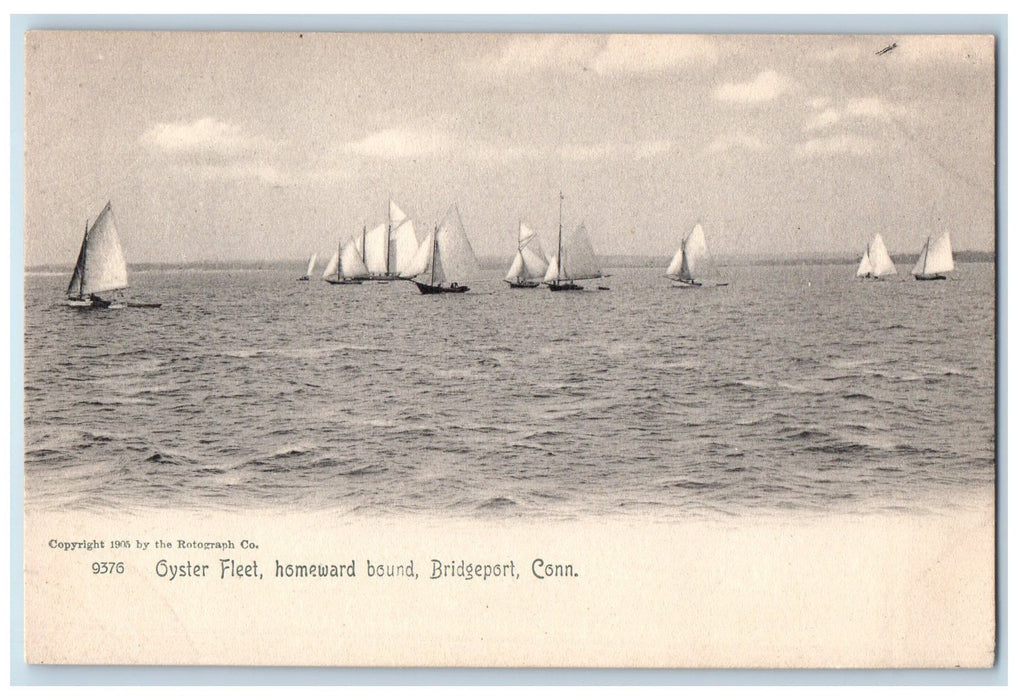 c1905 Oyster Fleet Homeward Bound Sailboats Racing View Bridgeport CT Postcard