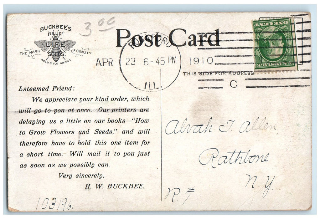 1910 Growing Buckbee's Christmas King Cabbage On Rockford Seed Farms IL Postcard