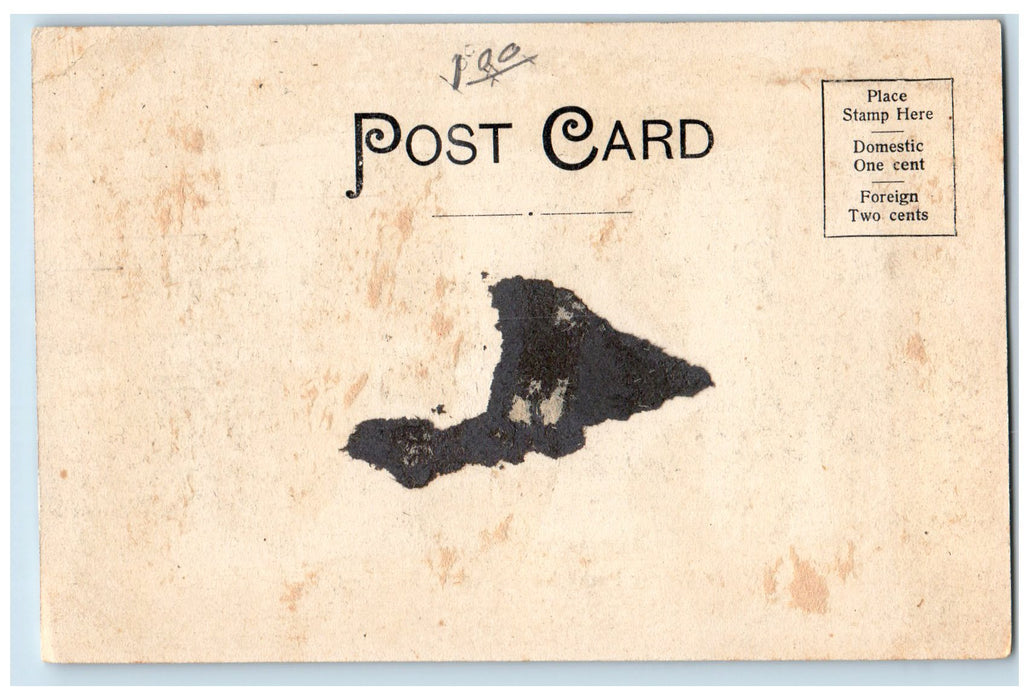 c1905's Water Works Park Fountain Looking East Rockford Illinois IL Postcard