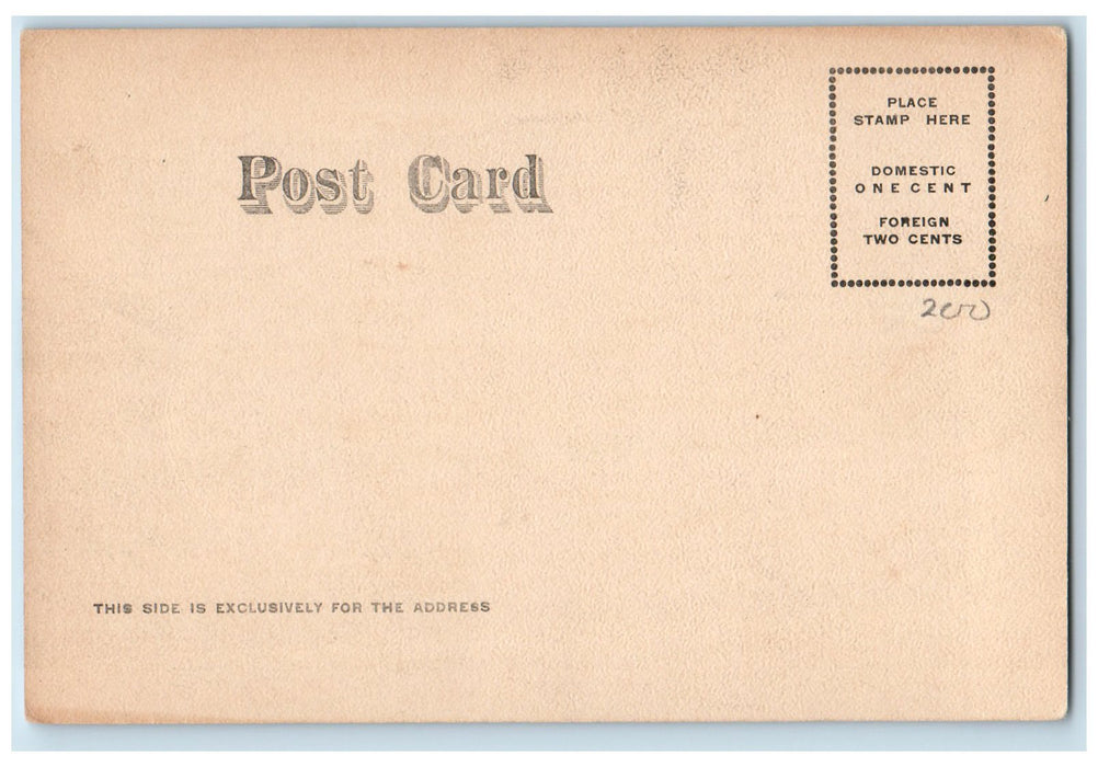 c1940s Southeast From Water Works Park Rockford Illinois IL Unposted Postcard