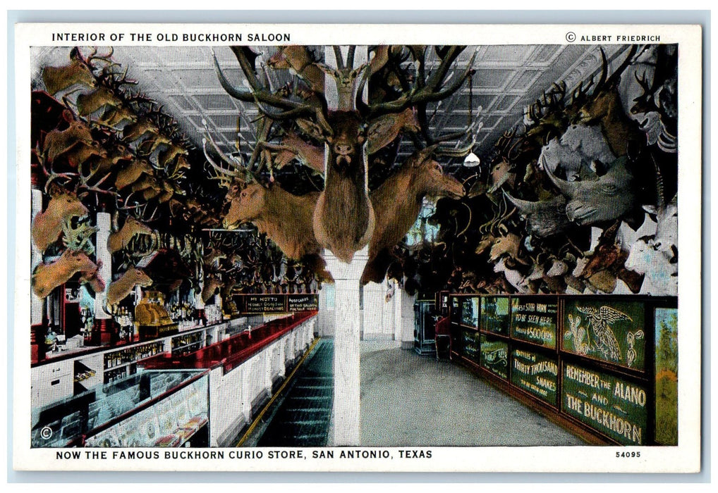 c1950 Famous Buckhorn Curio Store Collection San Antonio TX Advertising Postcard