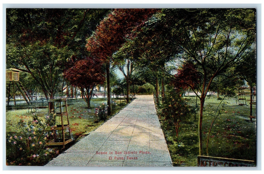 c1950's Scene In San Jacinto Plaza Park Pathways Trees El Paso Texas TX Postcard