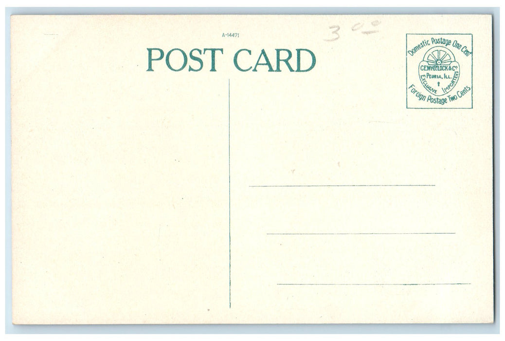 c1920s St. Mary Cathedral Exterior Roadside Peoria Illinois IL Unposted Postcard