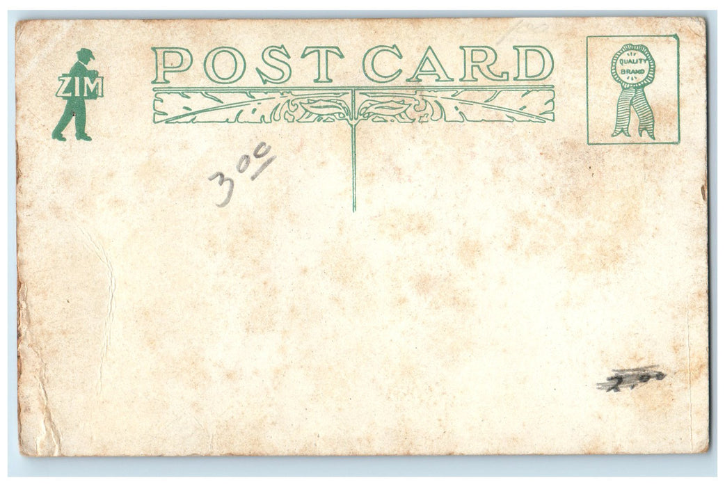 c1910s Scene At The Ottawa Chautauqua Illinois IL Unposted People Postcard