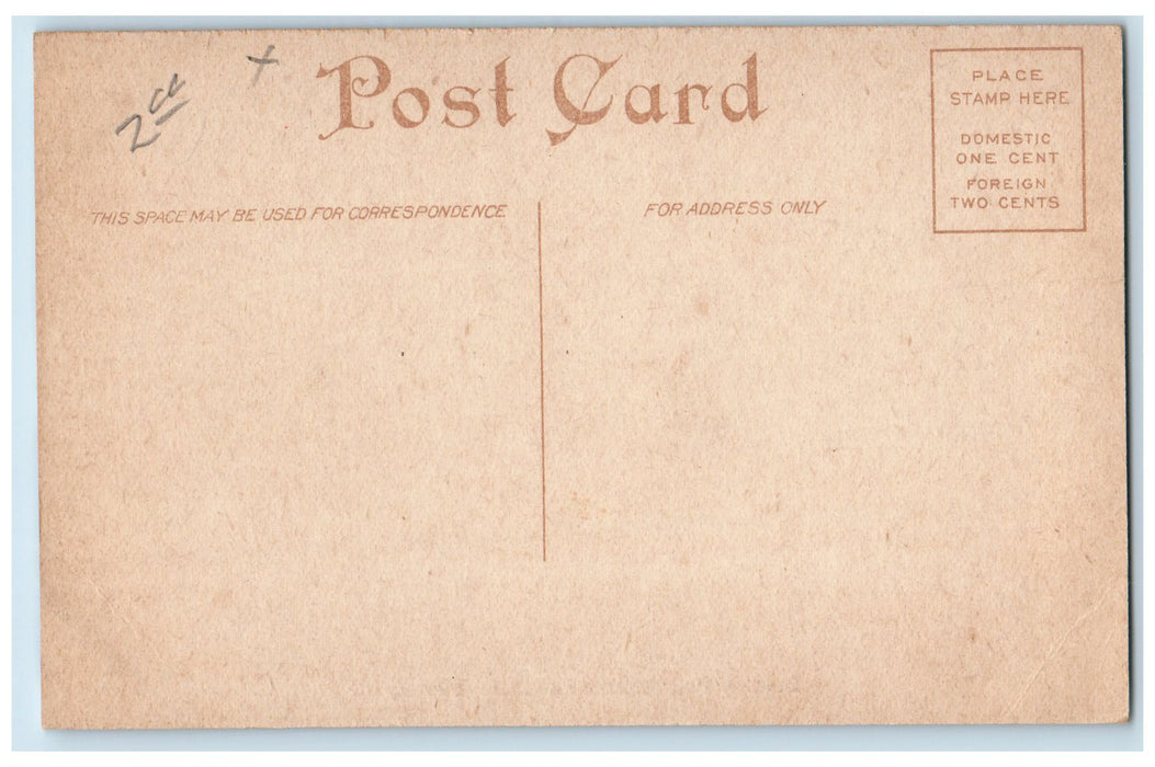 c1920s Bradley Polytechnic Institute Scene Peoria Illinois IL Unposted Postcard