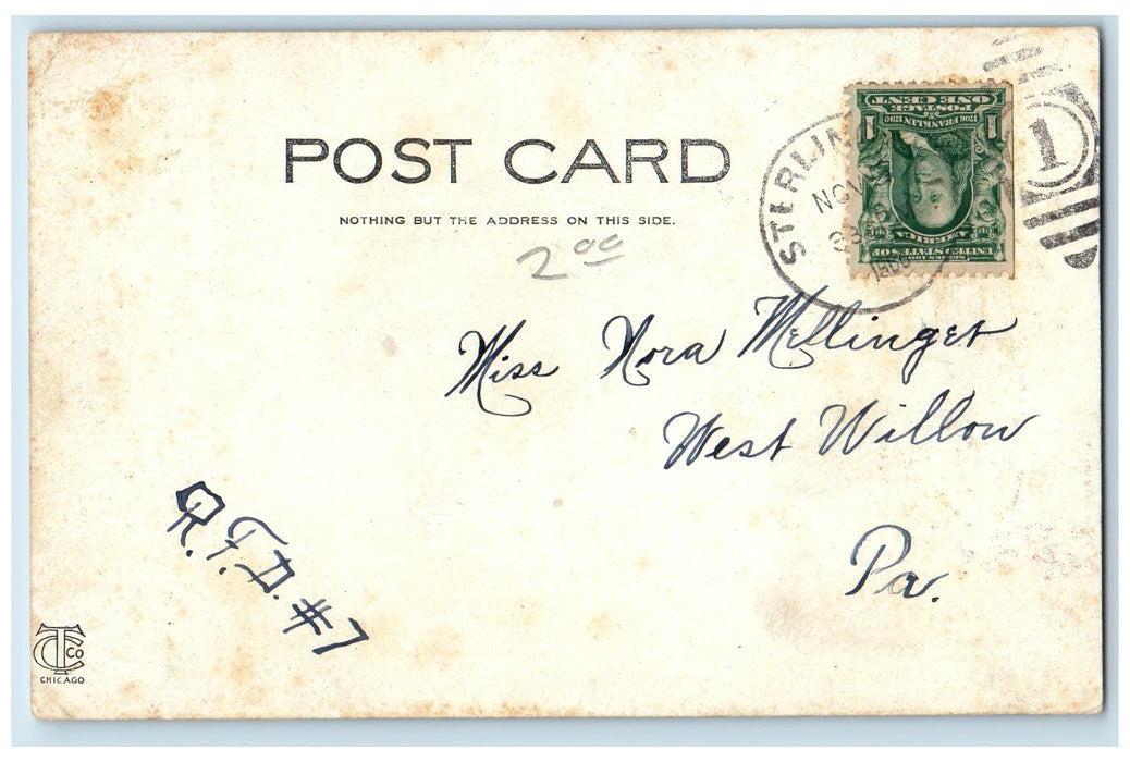 1906 Central Park Canyons Display Monument Sheds Sterling Illinois IL Postcard