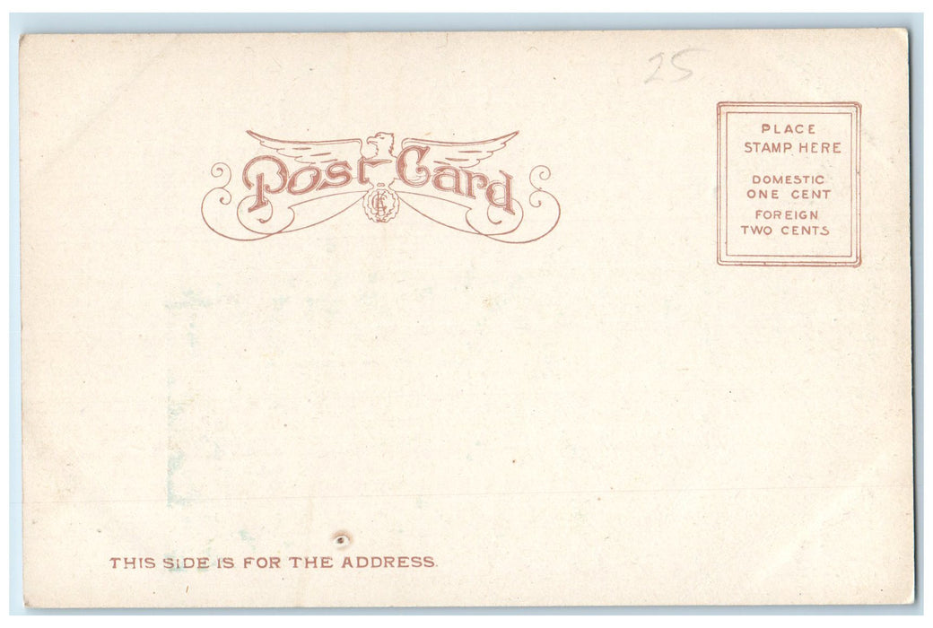 c1905 City Hall Bee Building Court House Entrance Omaha Nebraska NE Postcard