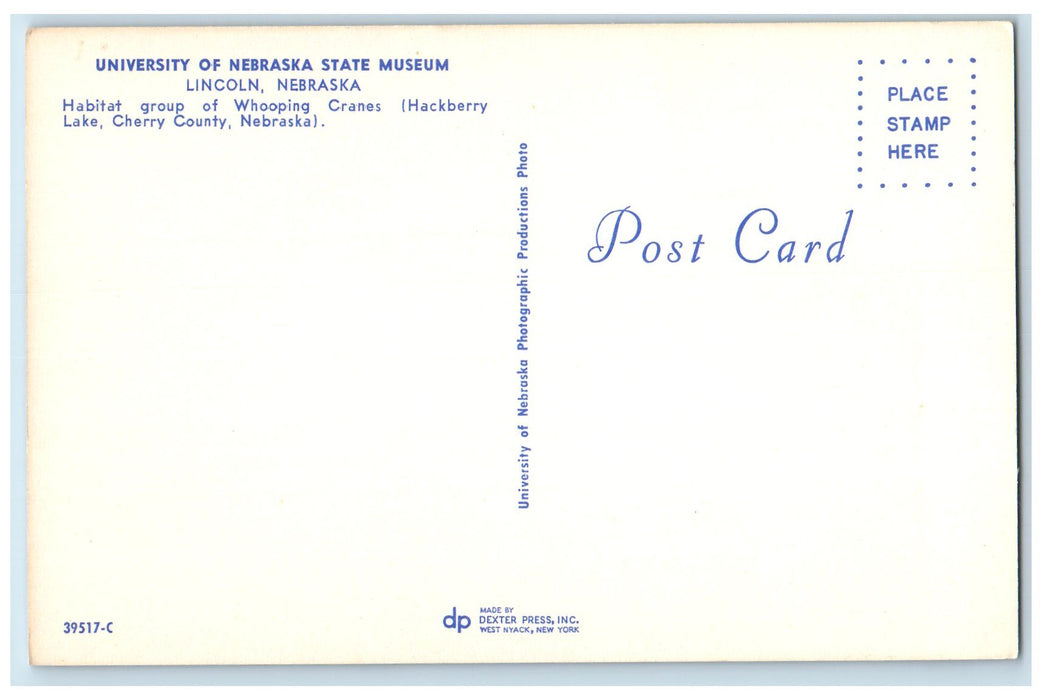 c1950's University Of Nebraska State Of Museum Heron Birds Lincoln NE Postcard