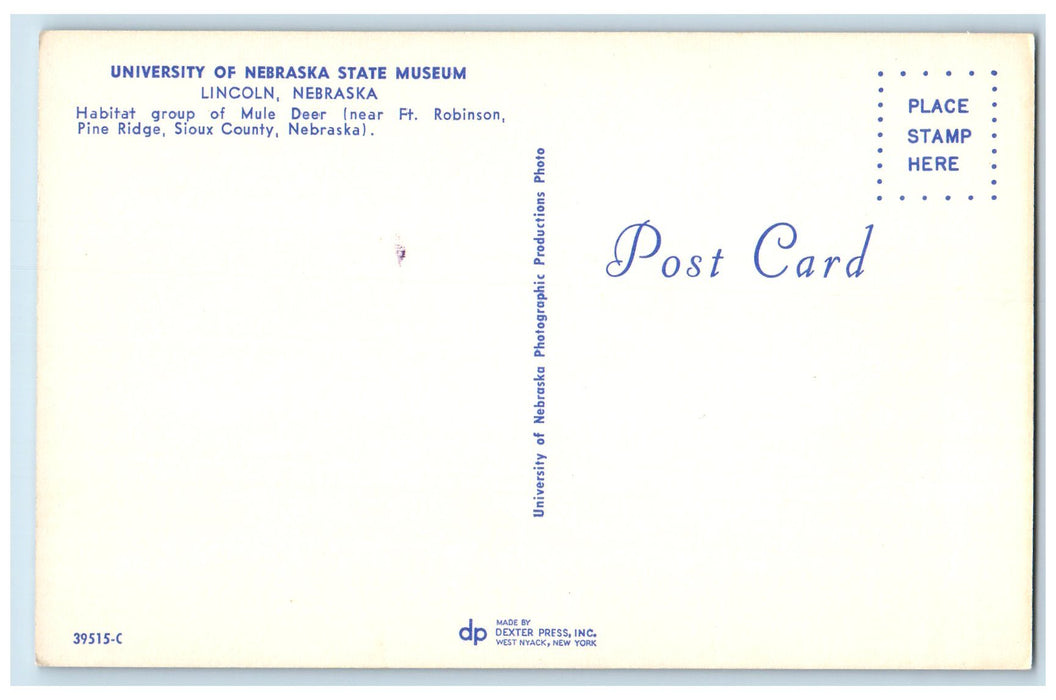 c1950's Mule Deer University Of Nebraska State Of Museum Lincoln NE Postcard