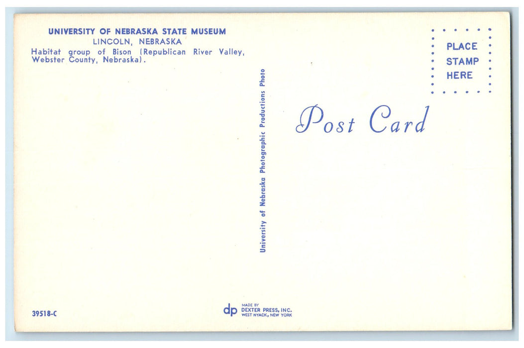 c1950 Group Of Bison University Of Nebraska State Of Museum Lincoln NE Postcard