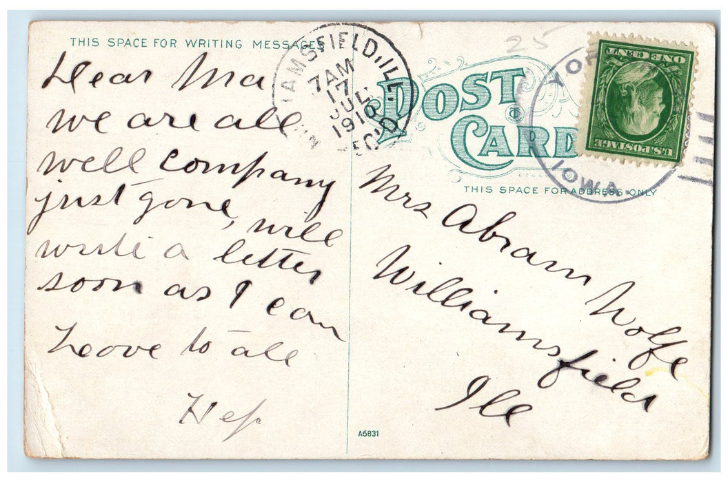 1910 Deer In Riverview Park Group Of Wild Animals Omaha Nebraska NE Postcard