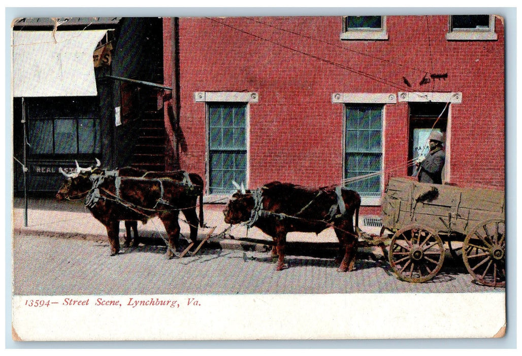 c1905s Street Scene Lynchburg Ox Wagon Virginia VA Unposted Vintage Postcard