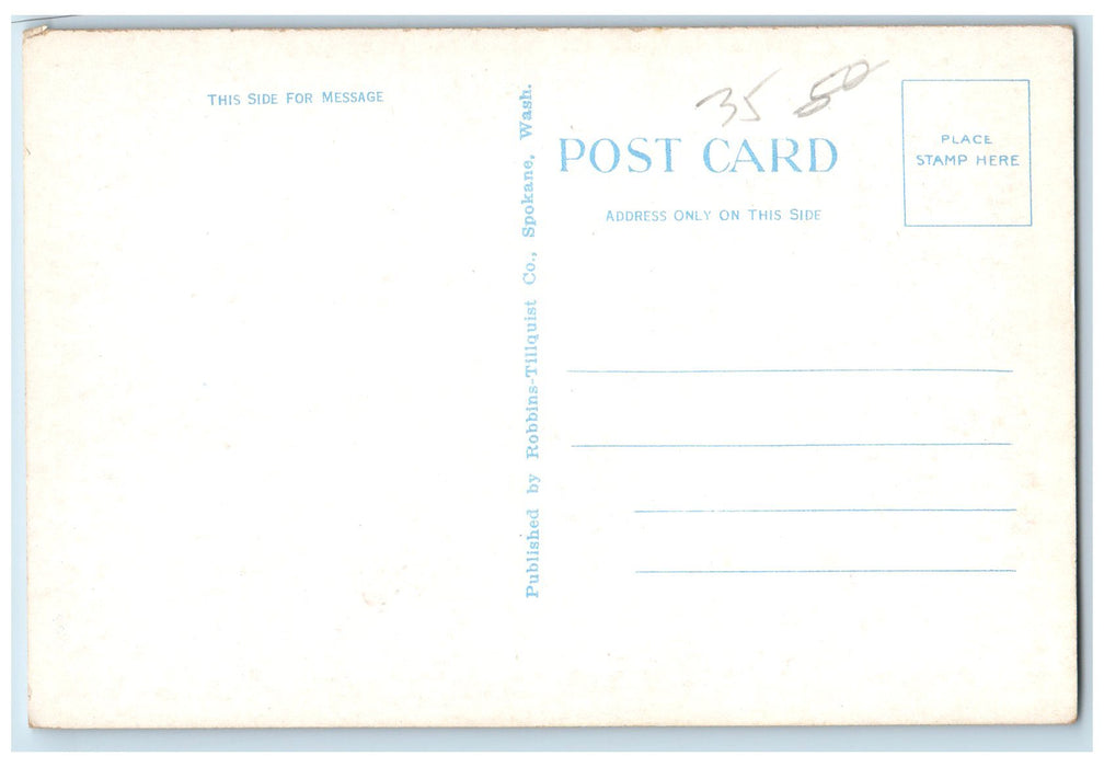 c1920s Wenatchee Avenue Wenatchee Washington WA Unposted Vintage Cars Postcard