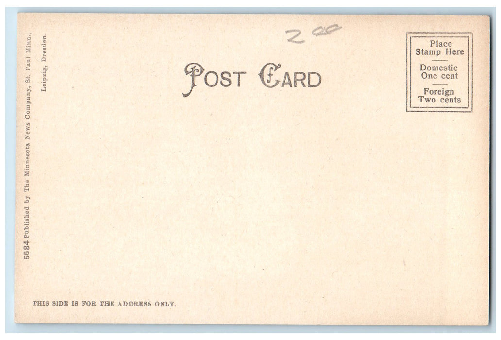 c1905 Rice Park Fountain Statue People Trees View St. Paul Minnesota MN Postcard