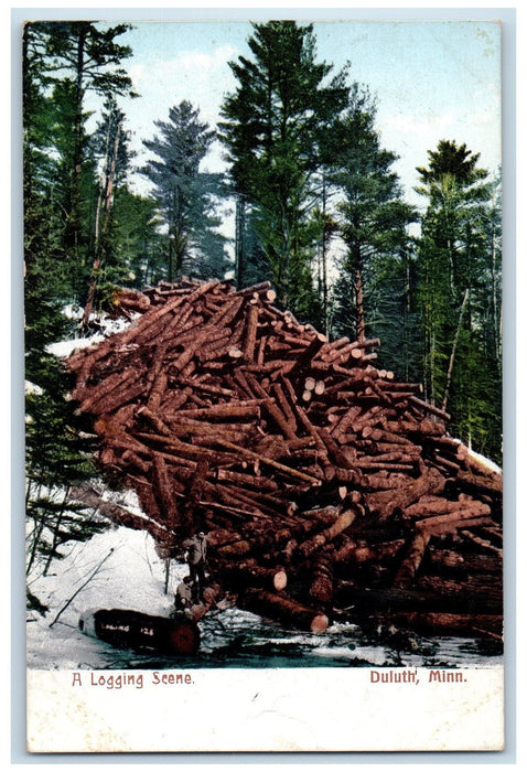 c1905 Logging Scene Forest Full Of Logs Winter Day Duluth Minnesota MN Postcard