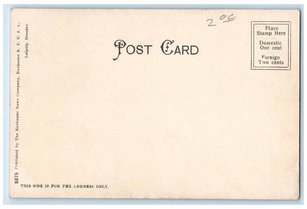 c1905 Logging Scene Forest Full Of Logs Winter Day Duluth Minnesota MN Postcard
