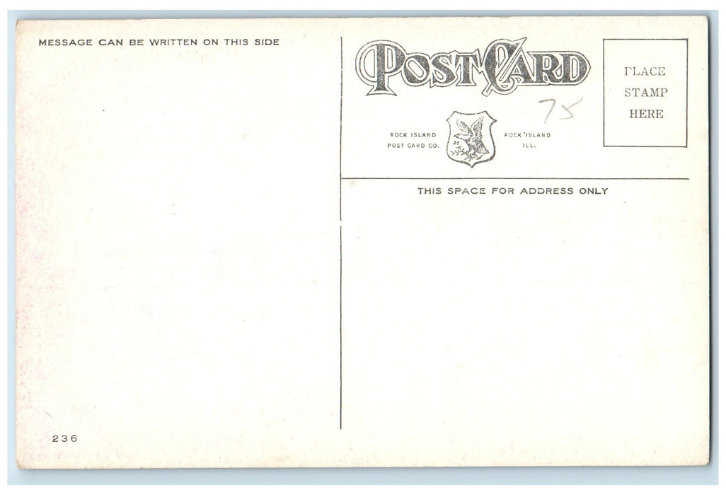 c1950's Grafted Tree Roses Fejeuary Park Green Grass Davenport Iowa IA Postcard