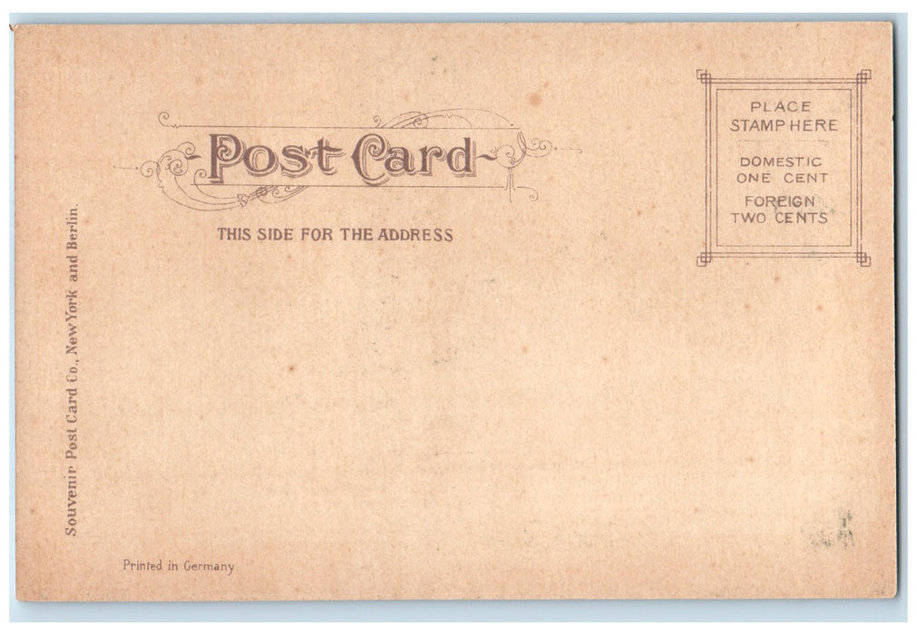 c1905 Hudson River Steamboat Landing Congress St. Bridge View Troy NY Postcard
