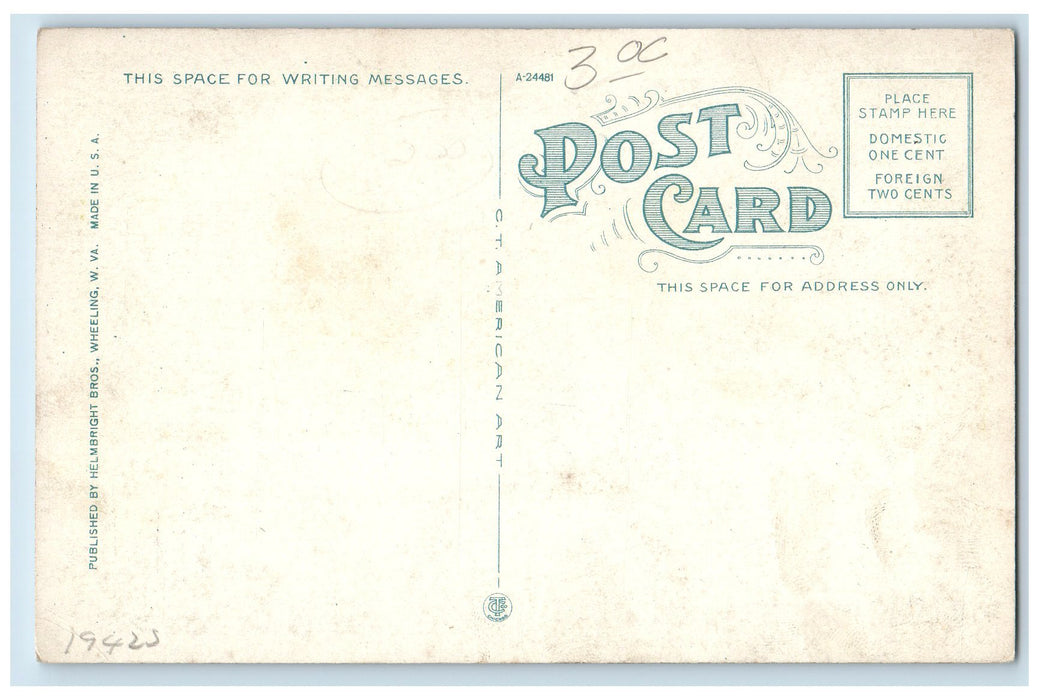 c1920 Shoot The Chutes Lake River Boats Sliding Rail Wheeling Park WVA Postcard