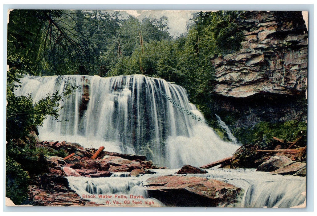 1909 Black Water Falls Rocks River Forest View Davis West Virginia WVA Postcard