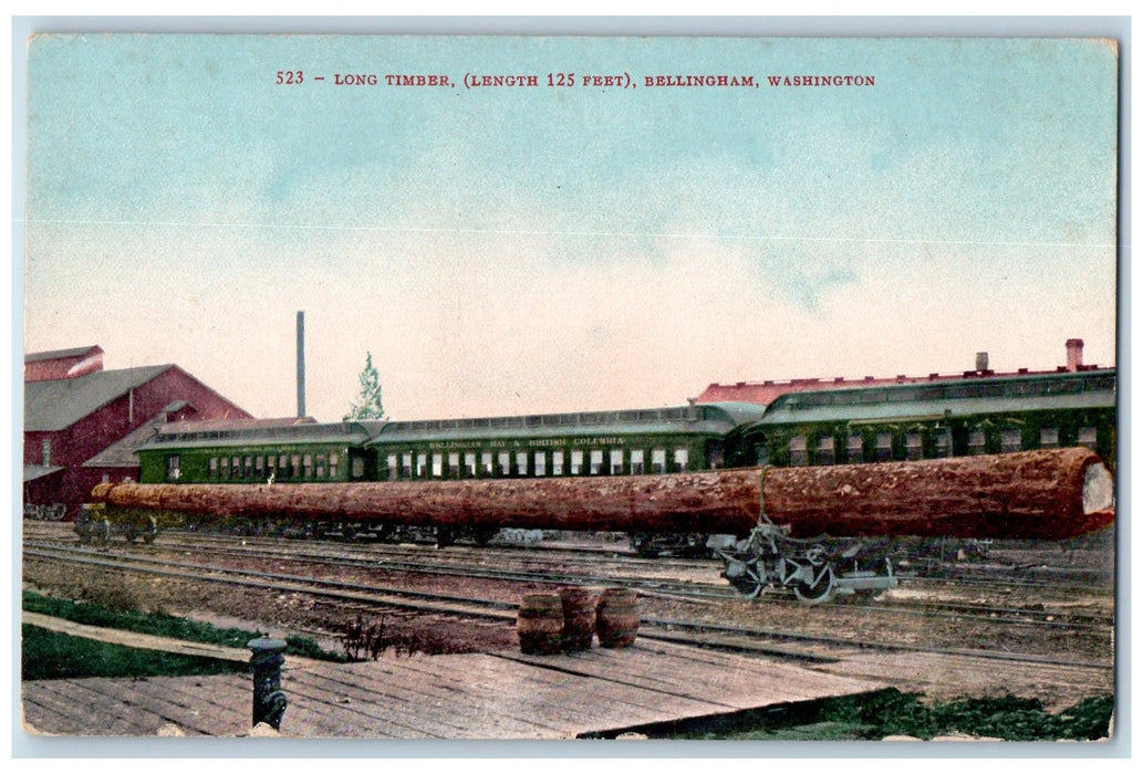 c1910s Long Timber Length 125 ft. Bellingham Washington WA Unposted Postcard