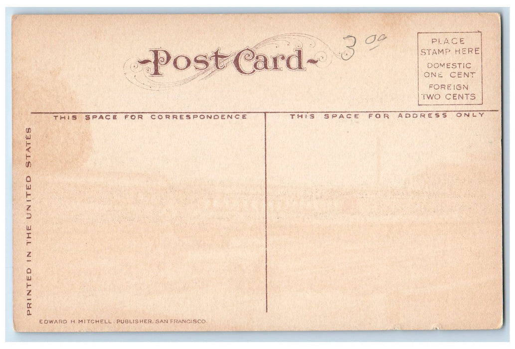 c1910s Long Timber Length 125 ft. Bellingham Washington WA Unposted Postcard