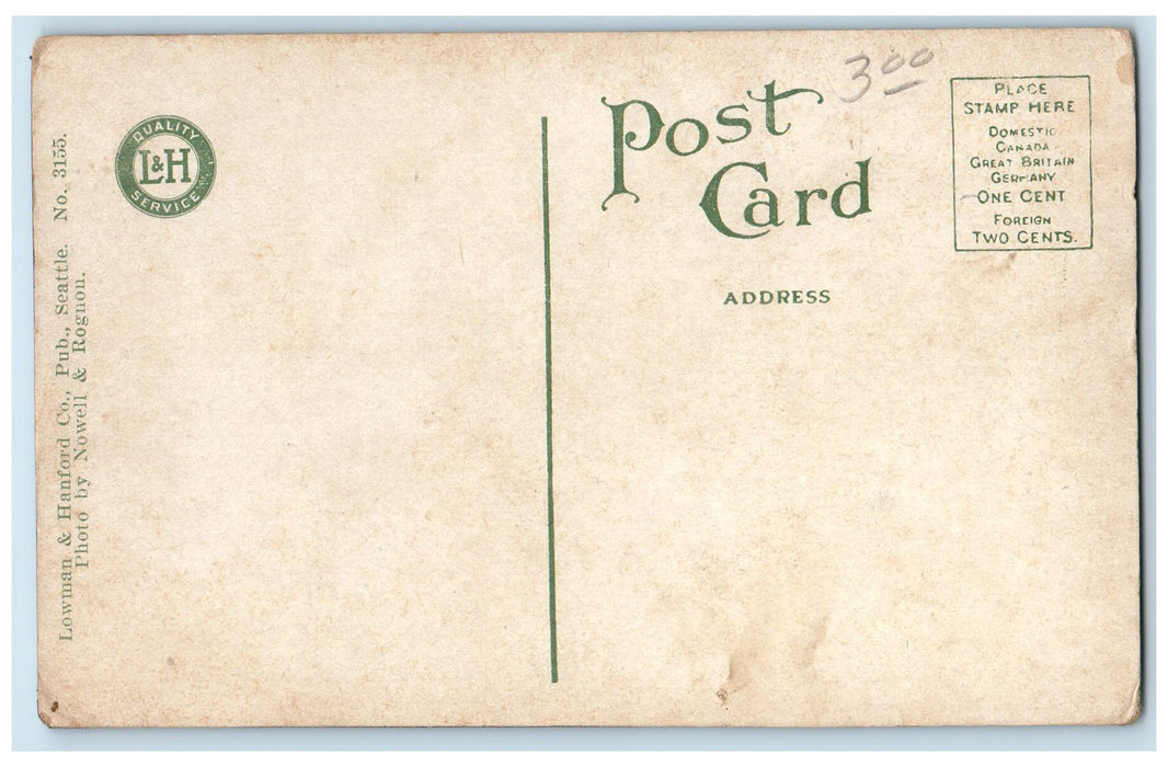 c1940's Landing Halibut At The Front Of Lander St. Seattle WA Steamship Postcard