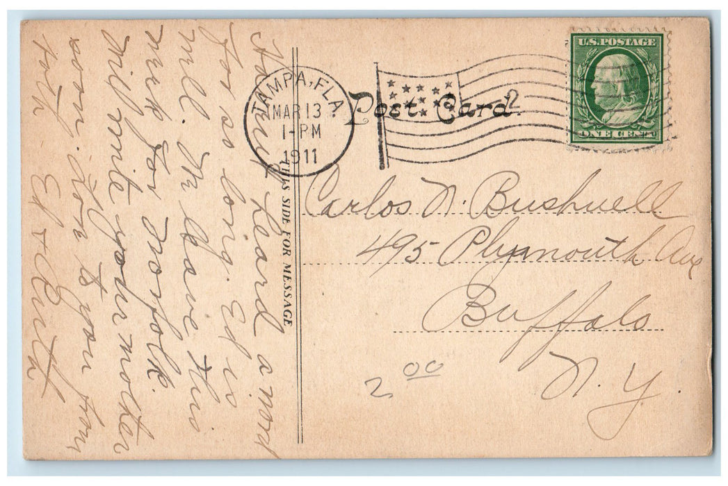 1911 YMCA Building Entrance Tree Horse Carriage Street Tampa Florida FL Postcard