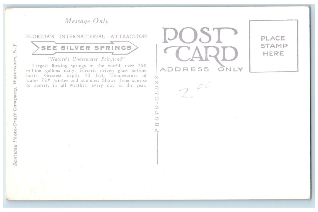 c1920 Glass Bottom Boat Docks Tourist Boating Silver Springs Florida FL Postcard
